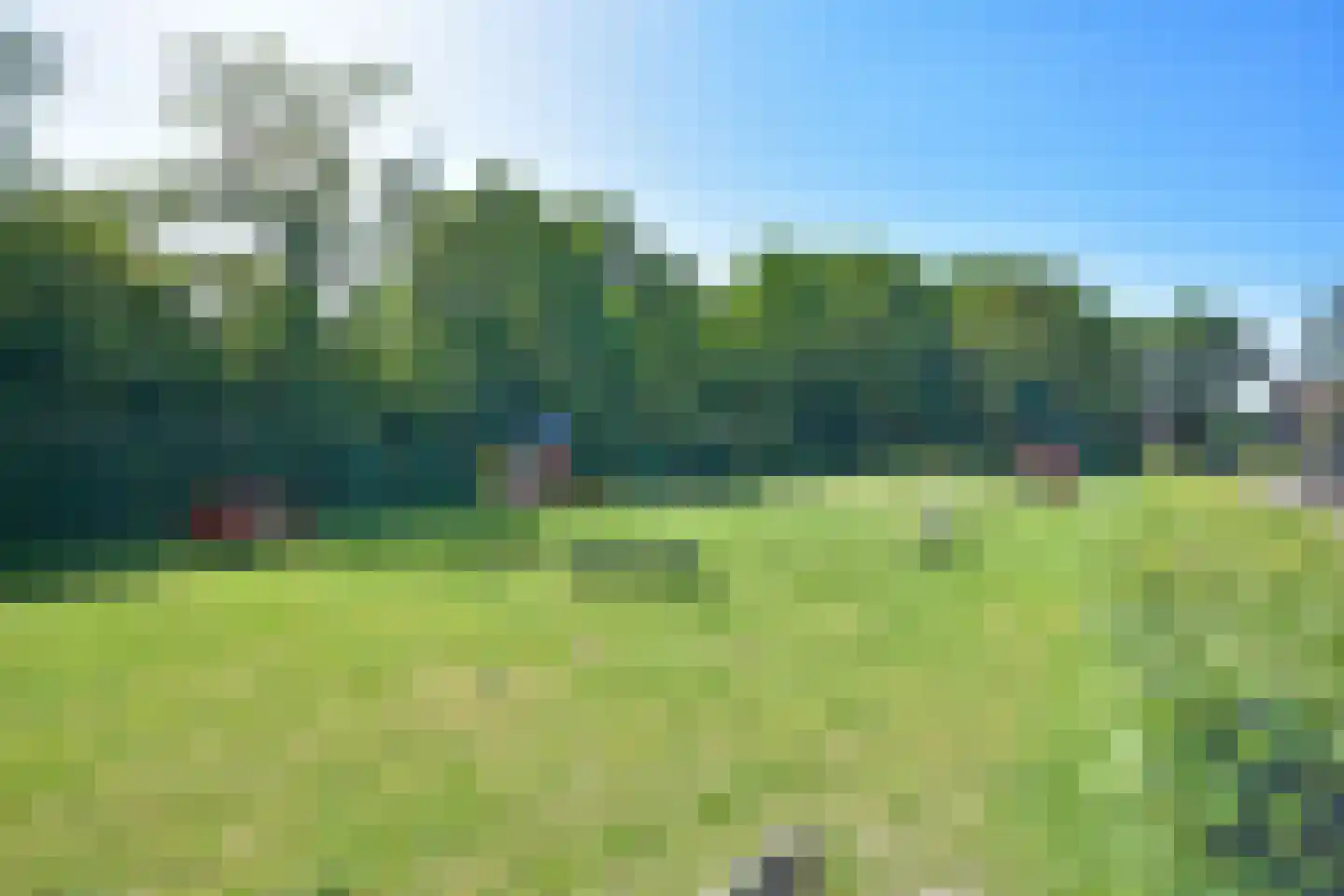 Falkejacht 2 Hurdegaryp thumbnail 4
