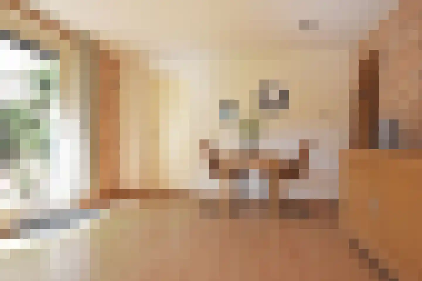 Falkejacht 2 Hurdegaryp thumbnail 40