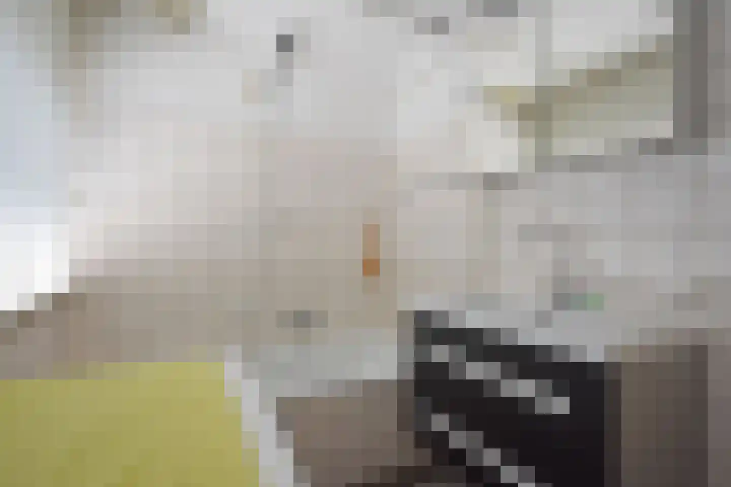 Falkejacht 2 Hurdegaryp thumbnail 52