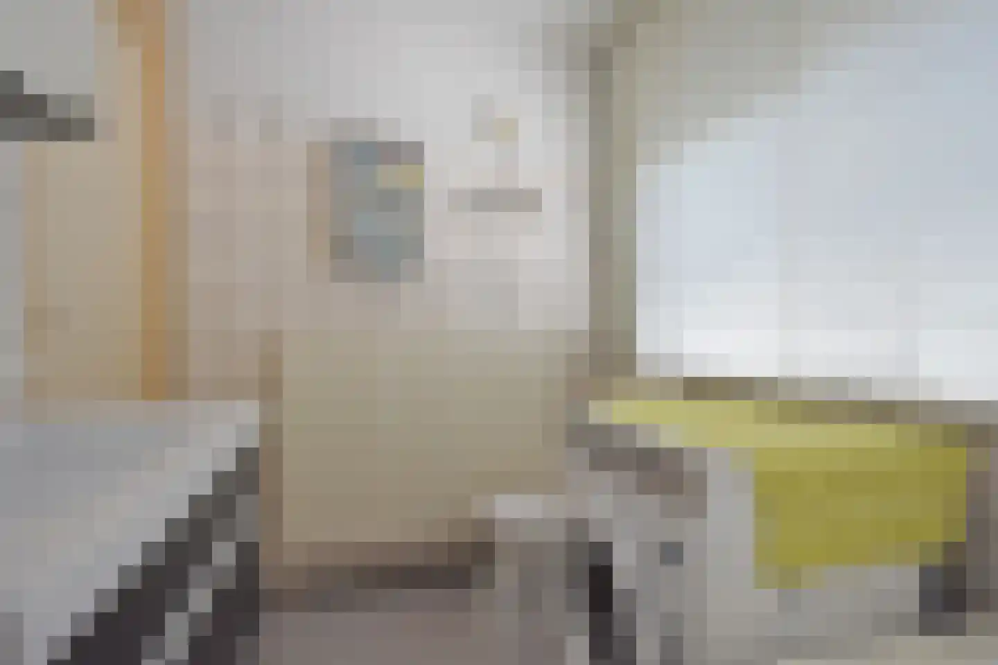 Falkejacht 2 Hurdegaryp thumbnail 53