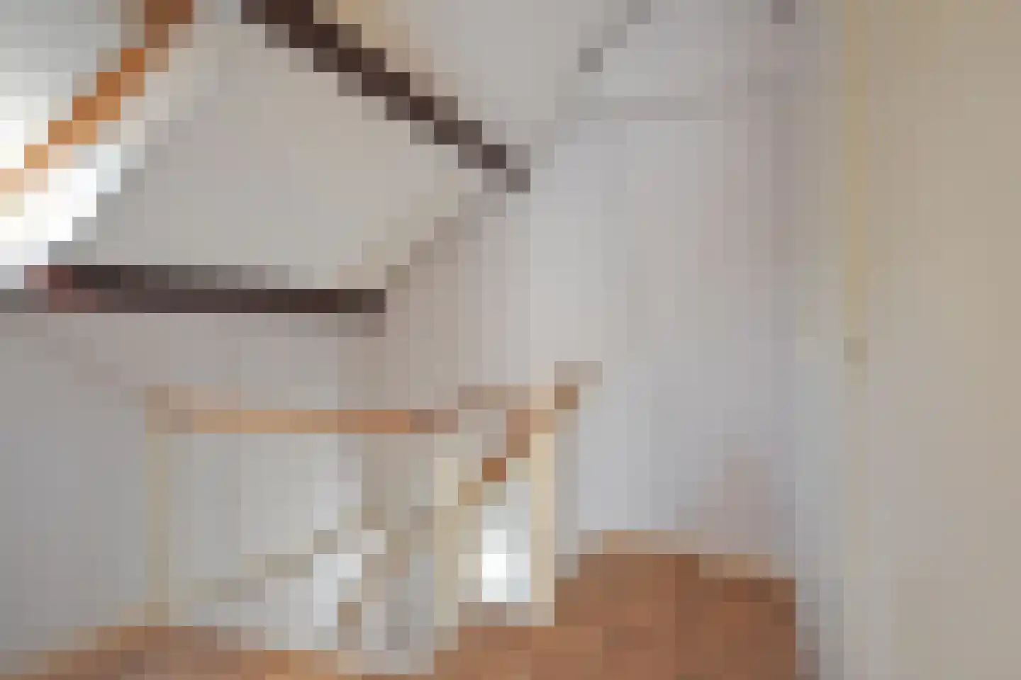 Falkejacht 2 Hurdegaryp thumbnail 55