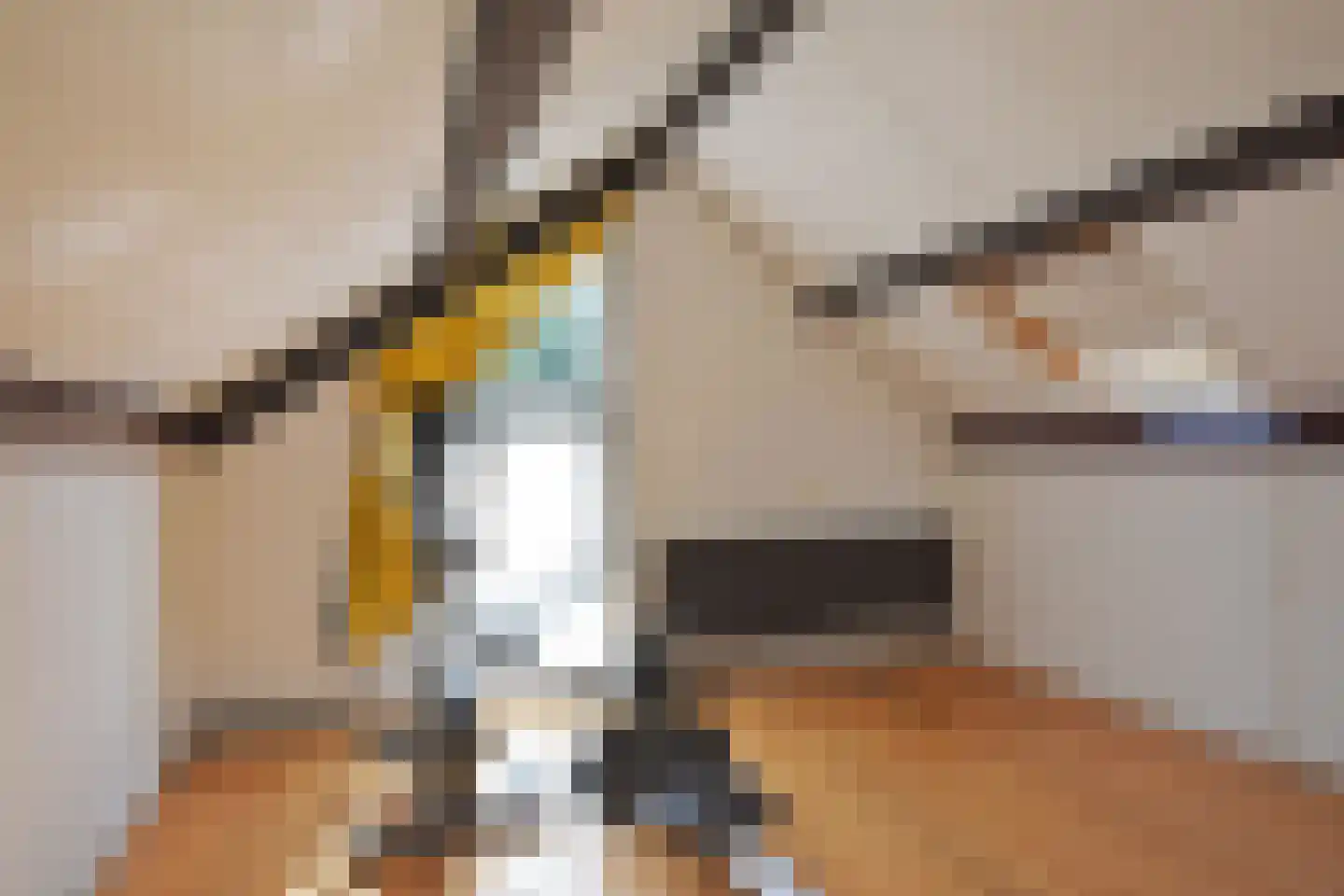 Falkejacht 2 Hurdegaryp thumbnail 57