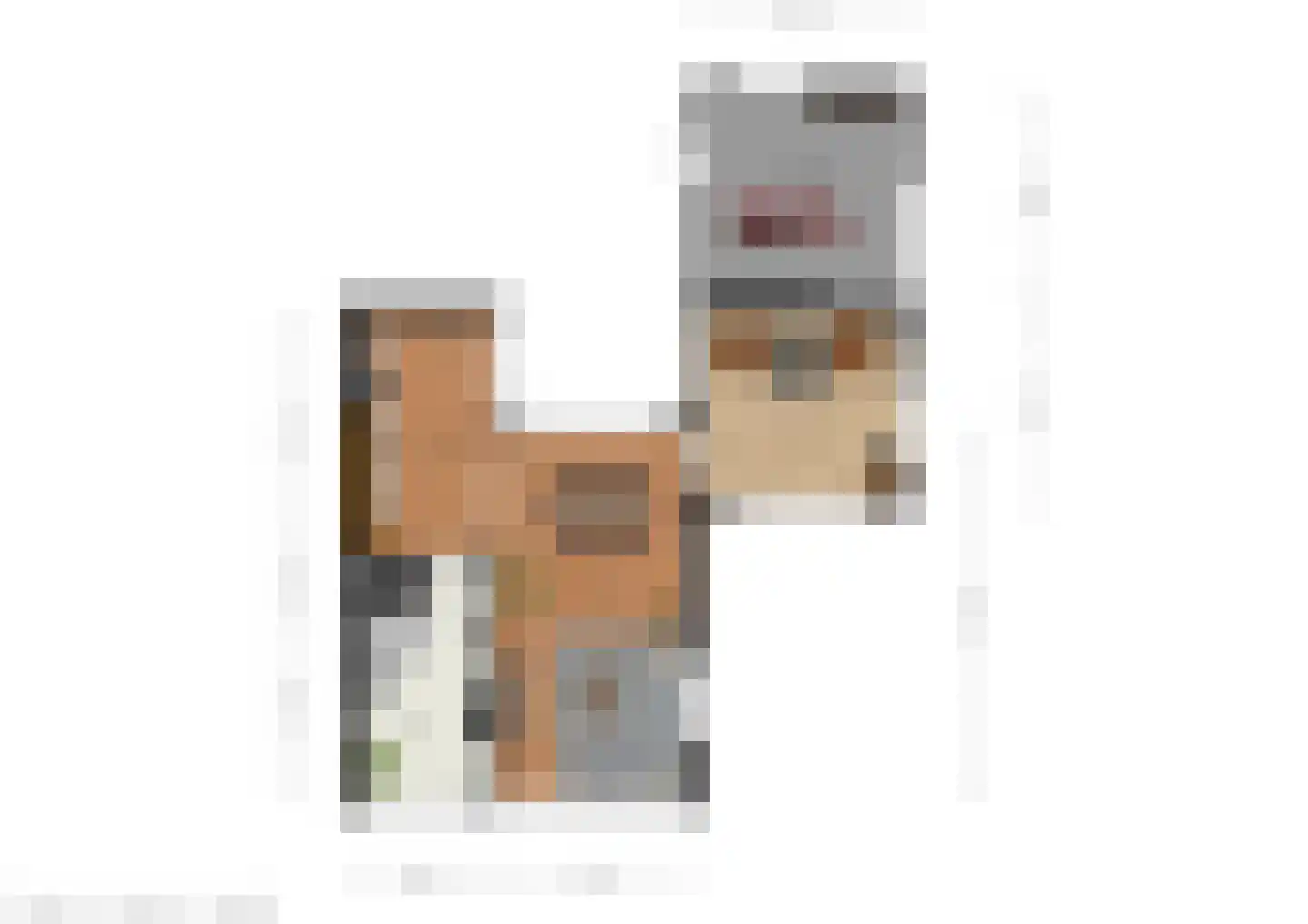 Falkejacht 2 Hurdegaryp thumbnail 60