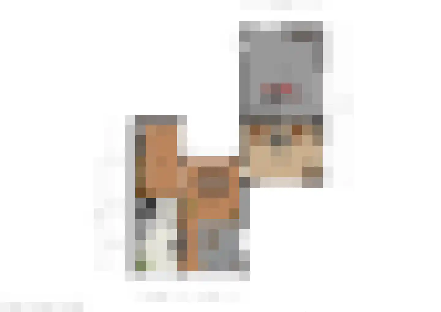 Falkejacht 2 Hurdegaryp thumbnail 60