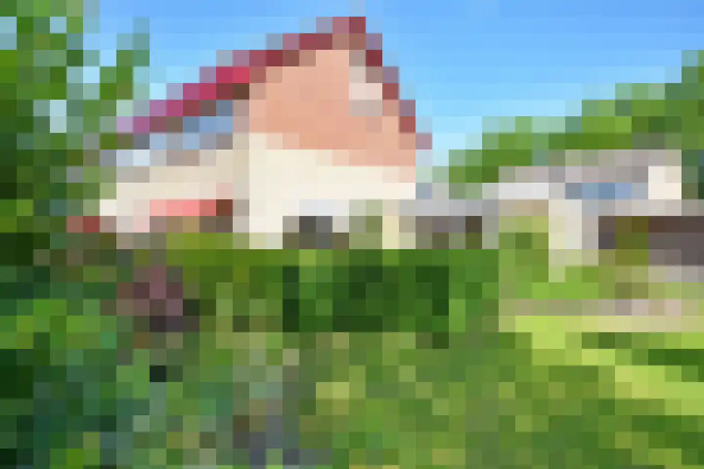 Falkejacht 2 Hurdegaryp thumbnail 7
