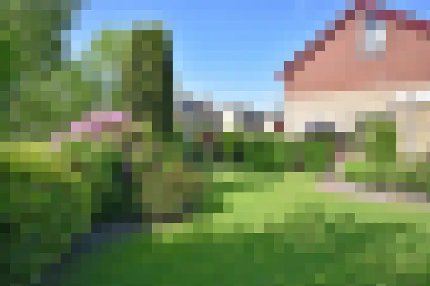 Falkejacht 2 Hurdegaryp thumbnail 8