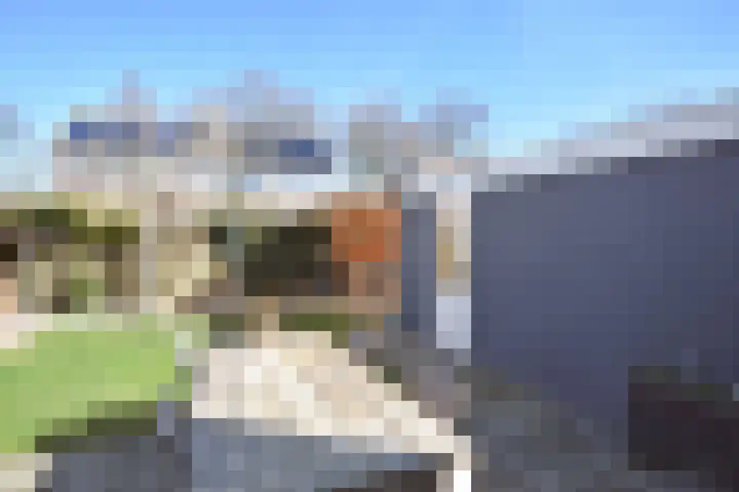 Falkejacht 6 Hurdegaryp thumbnail 10