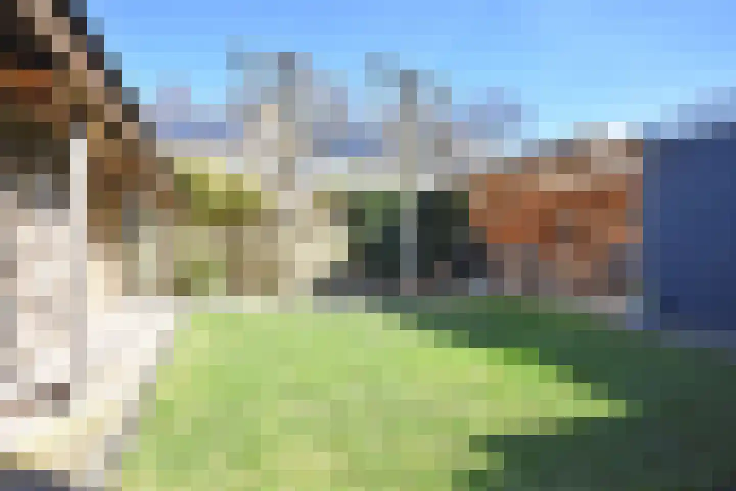 Falkejacht 6 Hurdegaryp thumbnail 11