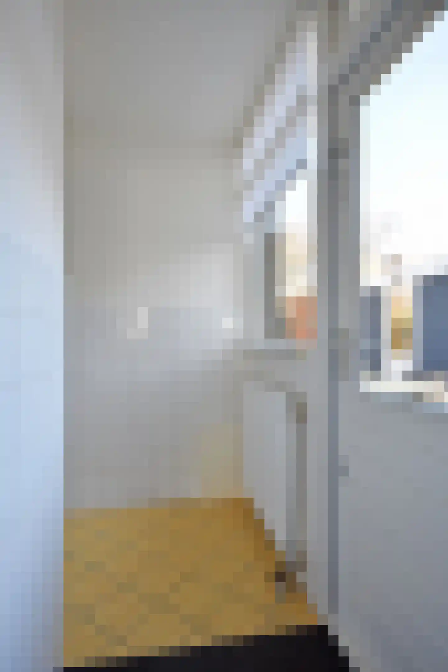 Falkejacht 6 Hurdegaryp thumbnail 30