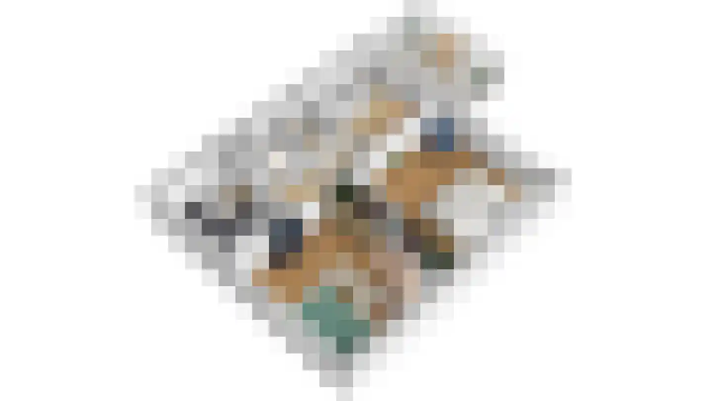 Falkejacht 6 Hurdegaryp thumbnail 32