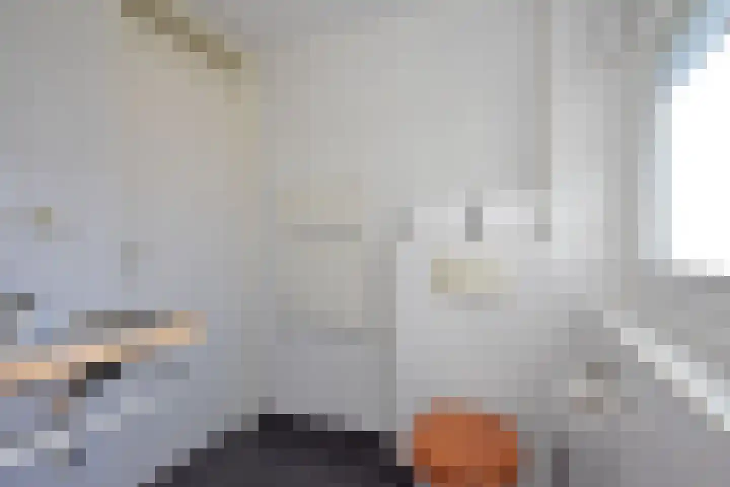 Falkejacht 6 Hurdegaryp thumbnail 44