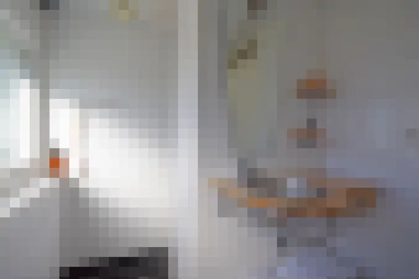 Falkejacht 6 Hurdegaryp thumbnail 45