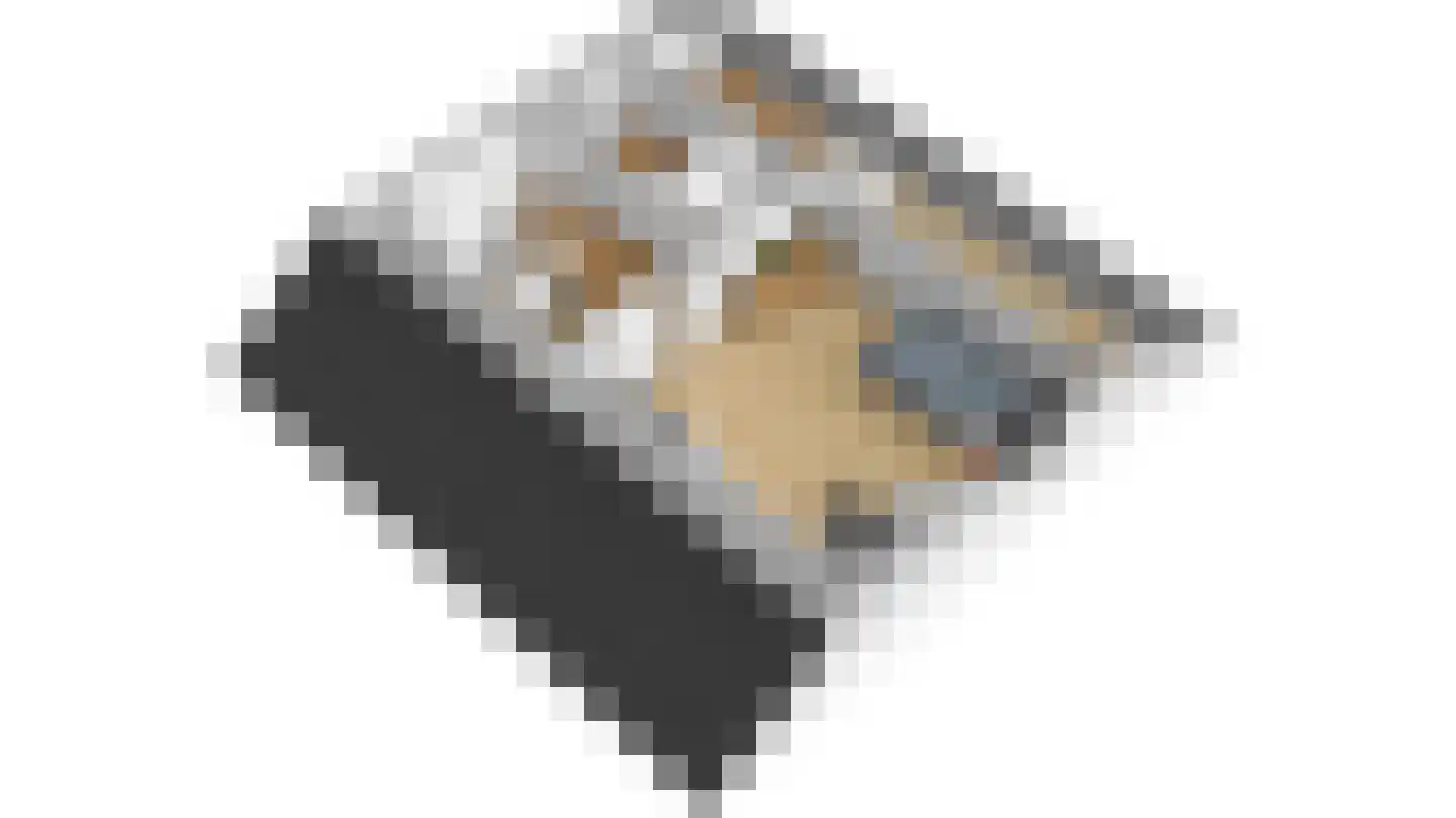 Falkejacht 6 Hurdegaryp thumbnail 47