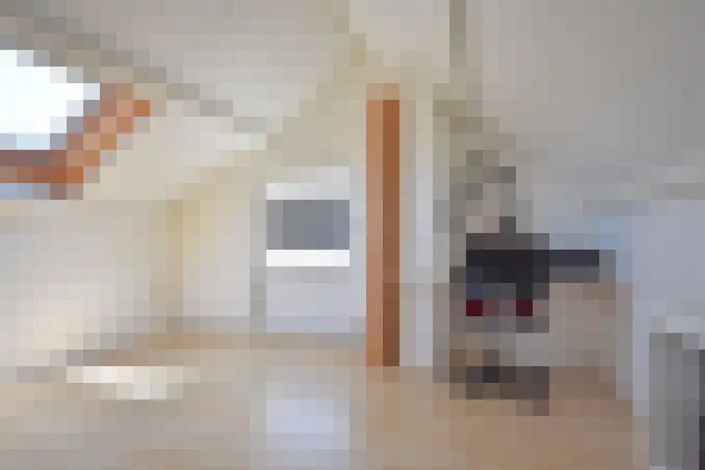 Falkejacht 6 Hurdegaryp thumbnail 50