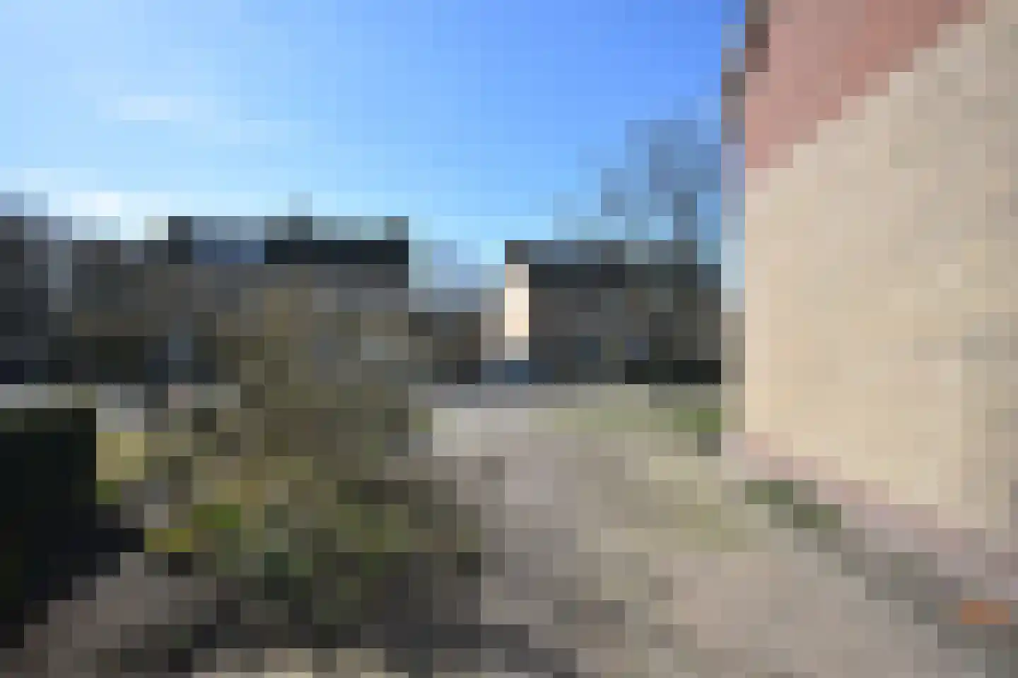 Falkejacht 6 Hurdegaryp thumbnail 7