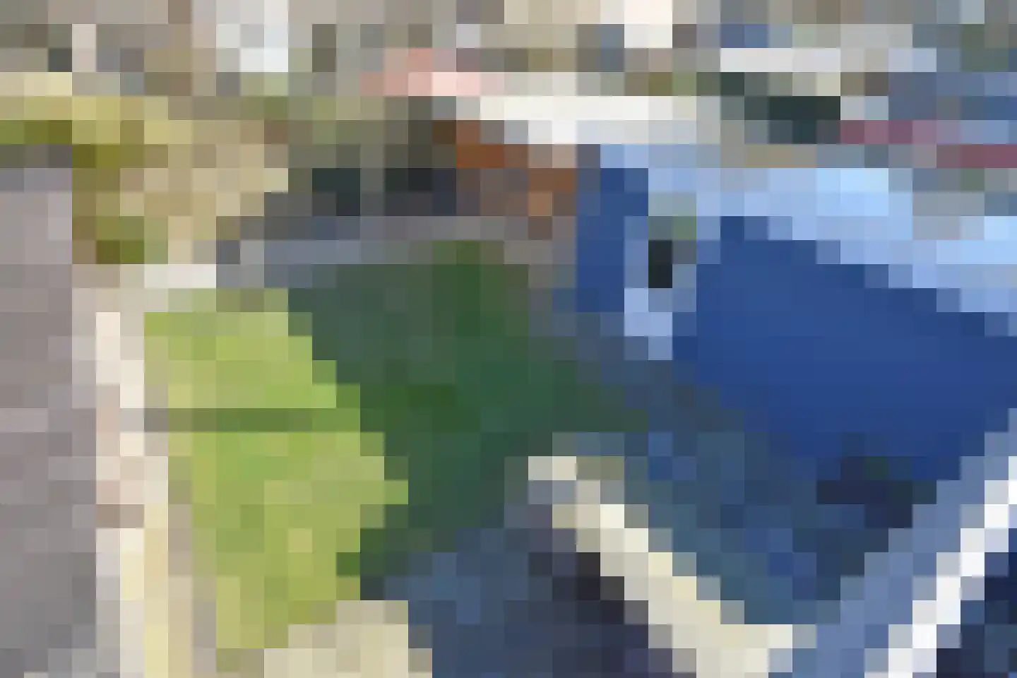 Falkejacht 6 Hurdegaryp thumbnail 8