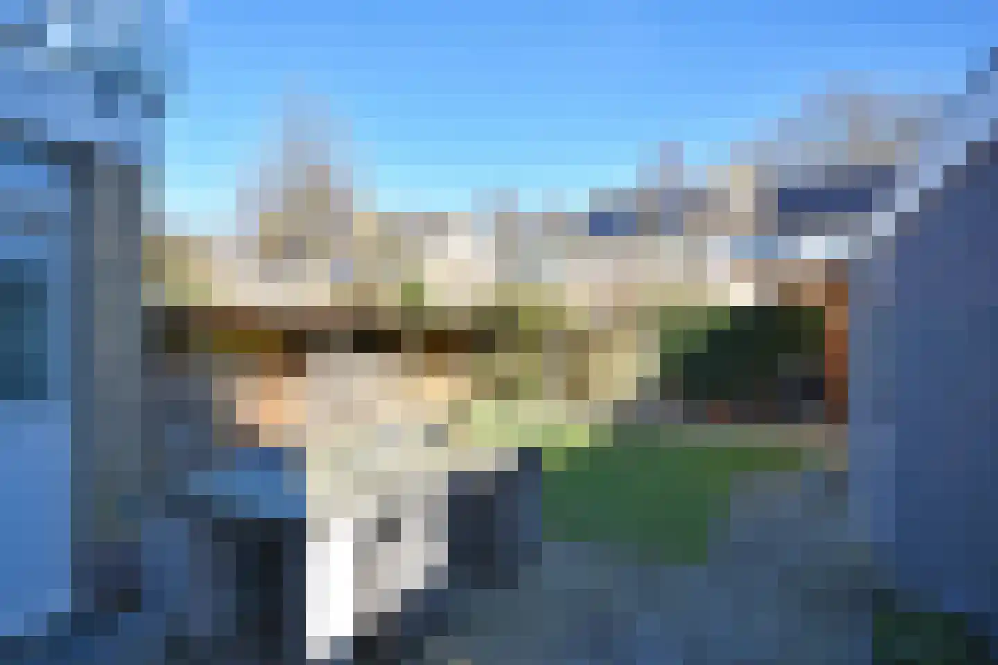 Falkejacht 6 Hurdegaryp thumbnail 9