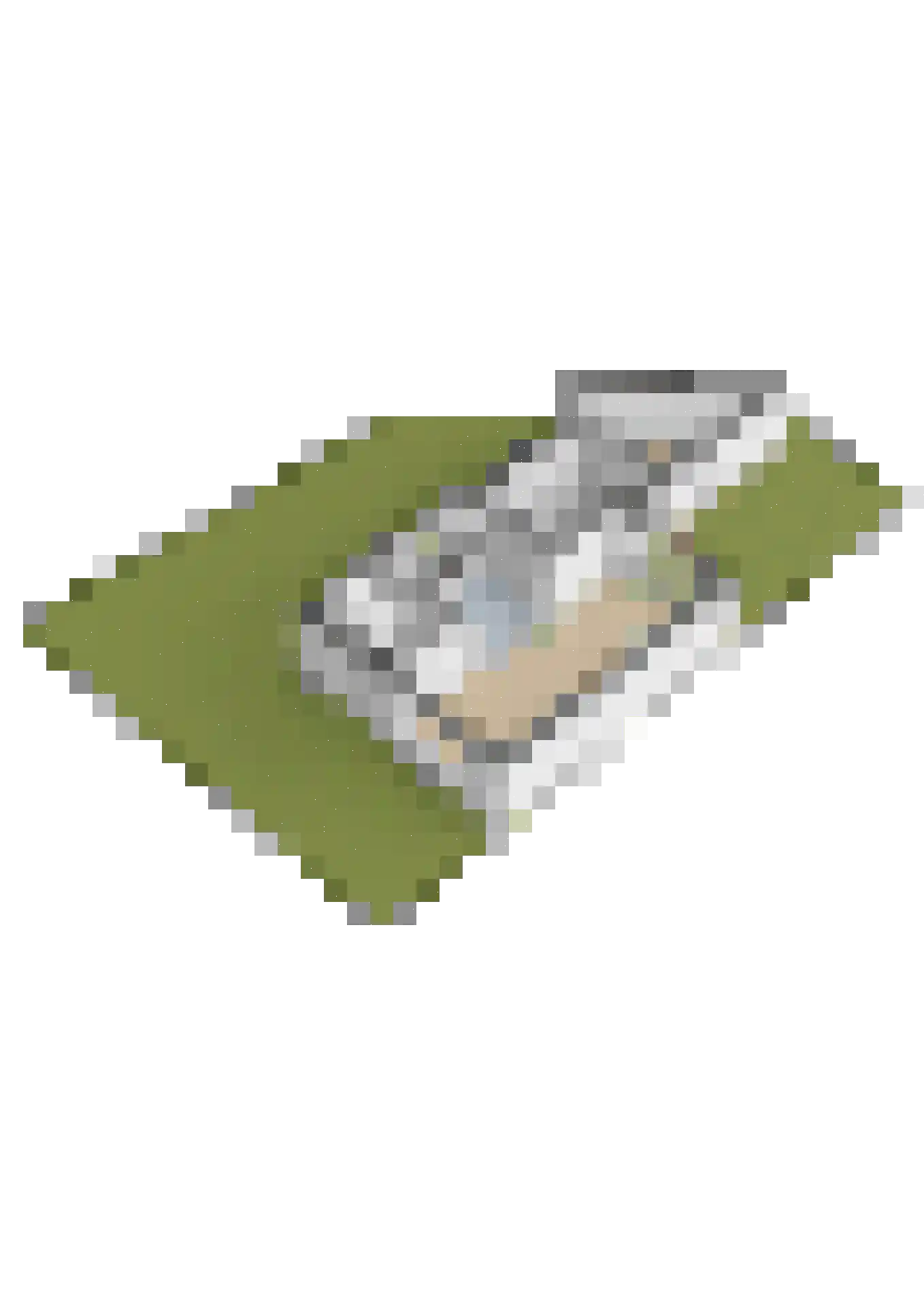 Falkenawei 25 Feanwâlden thumbnail 43