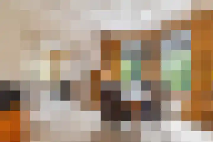 Falkenawei 3 Feanwâlden thumbnail 15