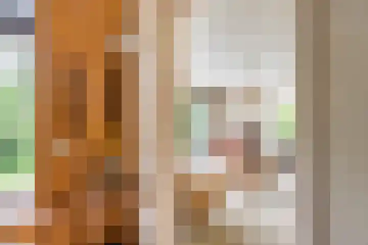 Falkenawei 3 Feanwâlden thumbnail 16