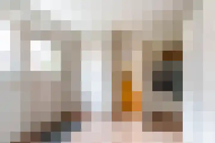 Falkenawei 3 Feanwâlden thumbnail 21