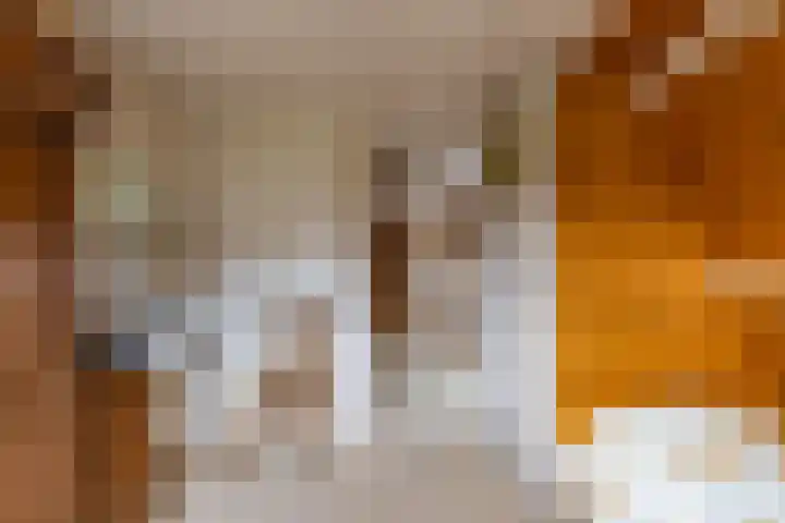 Falkenawei 3 Feanwâlden thumbnail 27