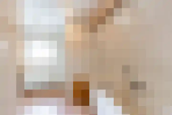 Falkenawei 3 Feanwâlden thumbnail 33