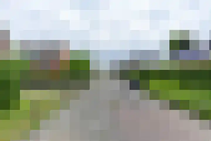 Falkenawei 3 Feanwâlden thumbnail 34