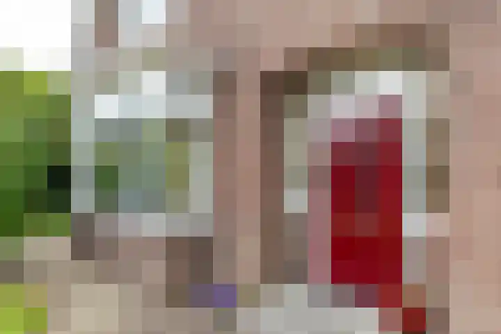 Falkenawei 3 Feanwâlden thumbnail 4