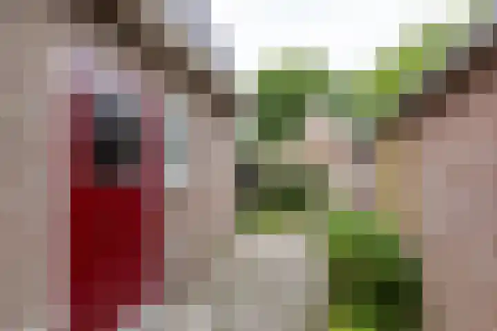 Falkenawei 3 Feanwâlden thumbnail 40