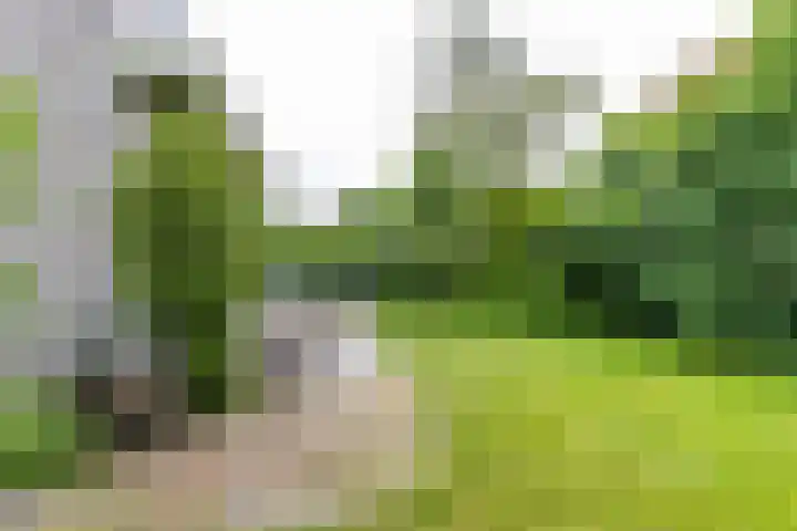 Falkenawei 3 Feanwâlden thumbnail 43