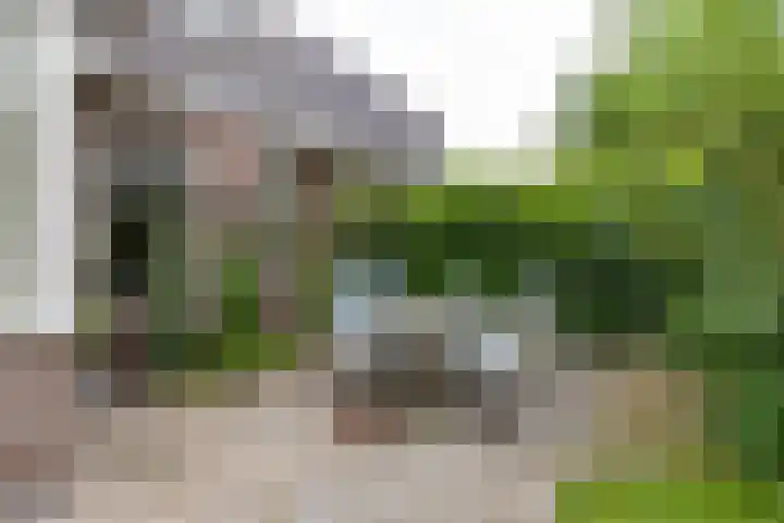Falkenawei 3 Feanwâlden thumbnail 45