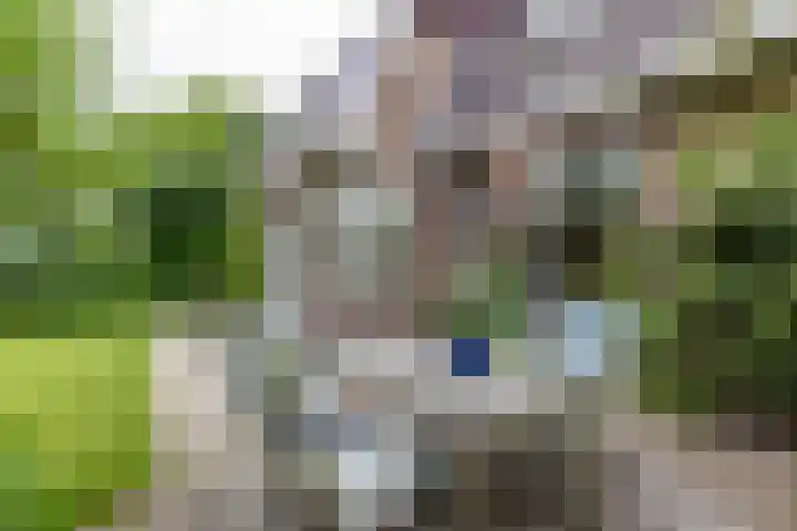 Falkenawei 3 Feanwâlden thumbnail 46