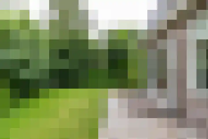 Falkenawei 3 Feanwâlden thumbnail 47