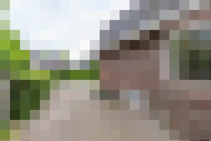 Falkenawei 3 Feanwâlden thumbnail 49