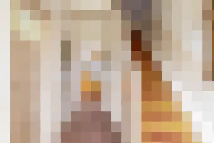 Falkenawei 3 Feanwâlden thumbnail 5