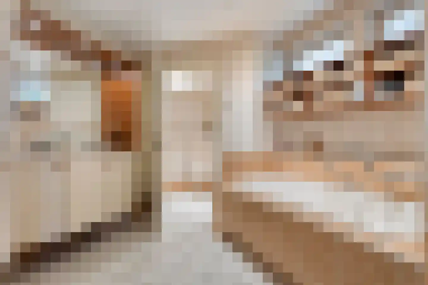 Falkenburgerf 10 Ommen thumbnail 38