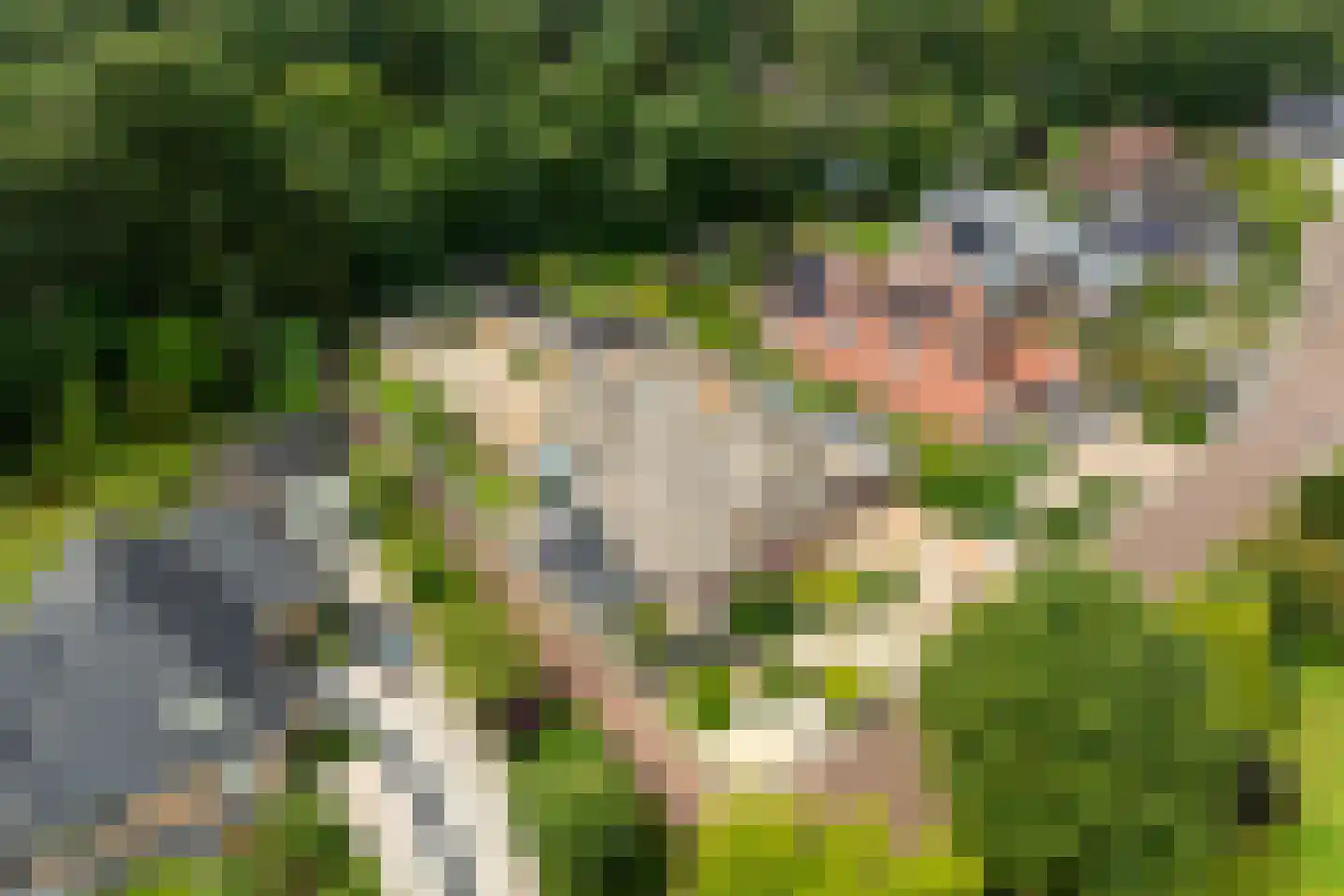Falkenburgerf 10 Ommen thumbnail 7