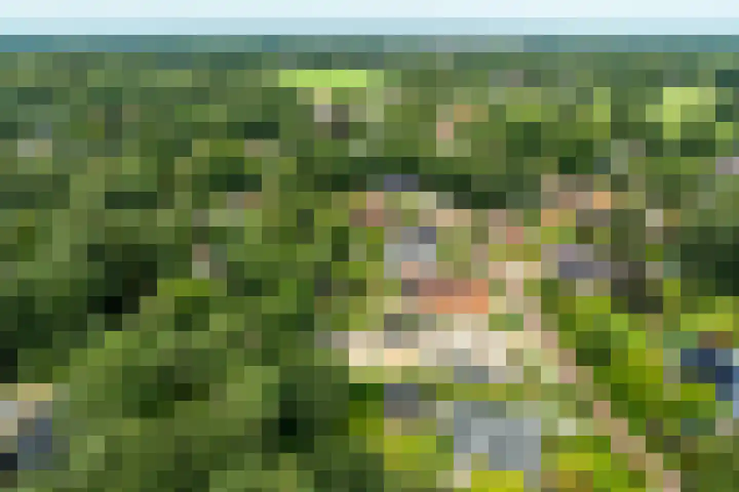 Falkenburgerf 10 Ommen thumbnail 74