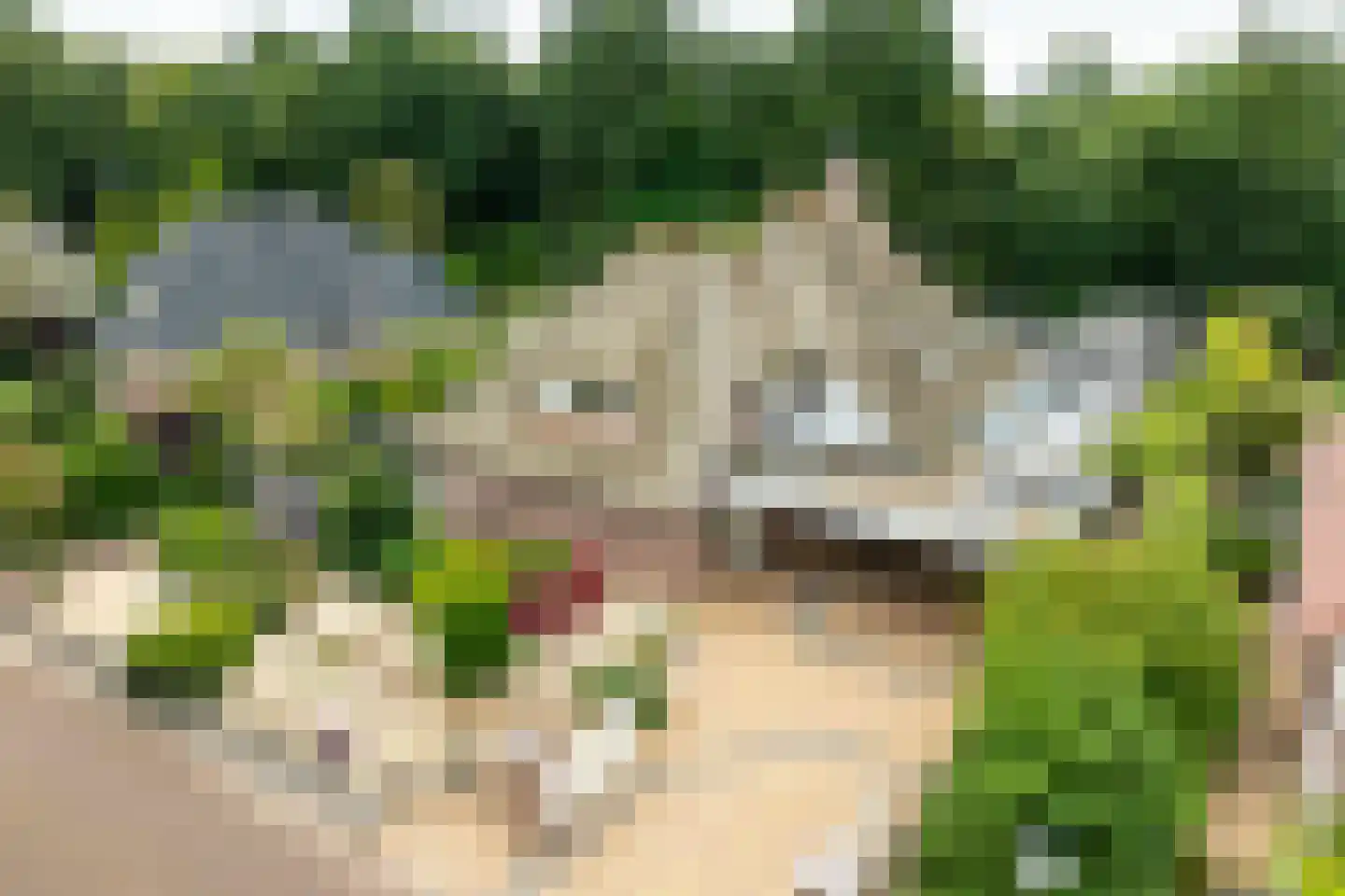 Falkenburgerf 10 Ommen thumbnail 9