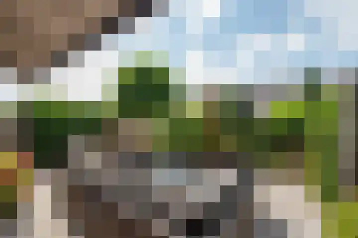 Falkland 23 Zoetermeer thumbnail 11