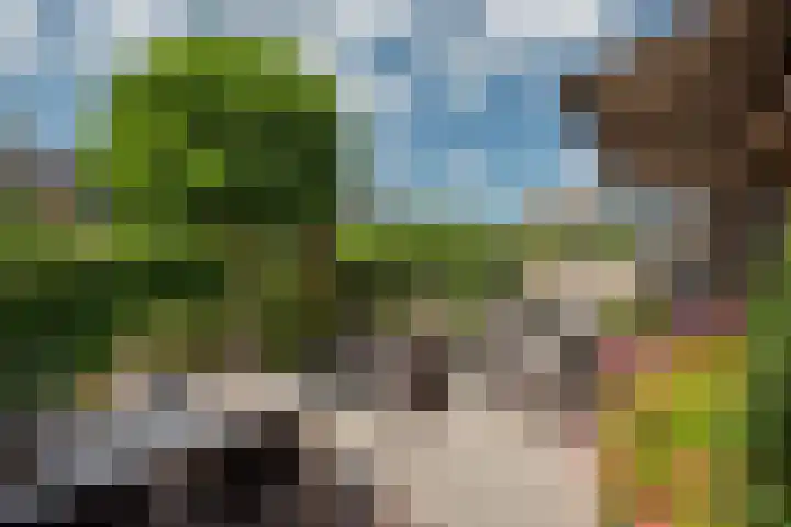 Falkland 23 Zoetermeer thumbnail 12