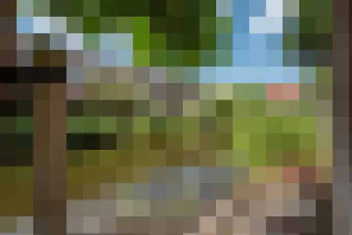 Falkland 23 Zoetermeer thumbnail 15