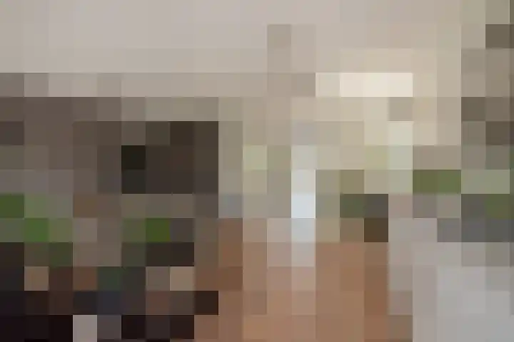 Falkland 23 Zoetermeer thumbnail 18