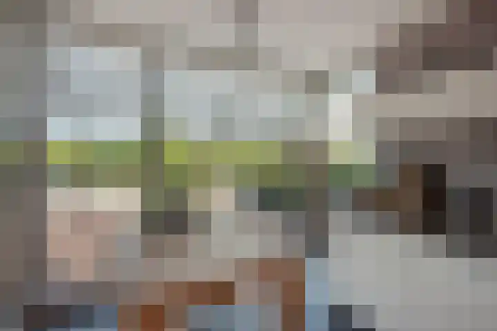 Falkland 23 Zoetermeer thumbnail 22
