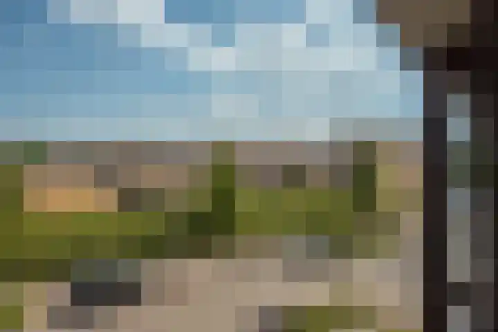 Falkland 23 Zoetermeer thumbnail 36