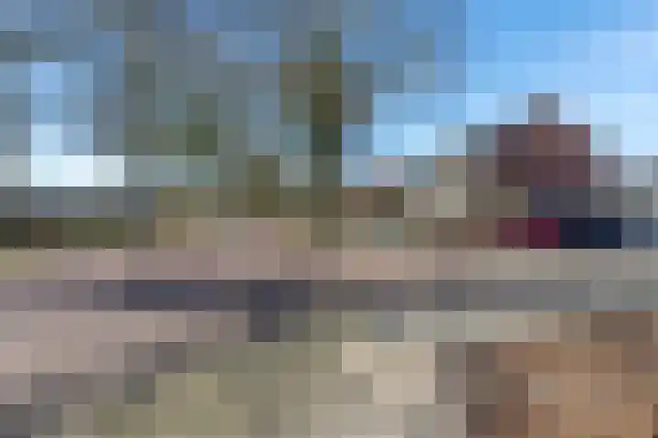 Falkland 23 Zoetermeer thumbnail 4