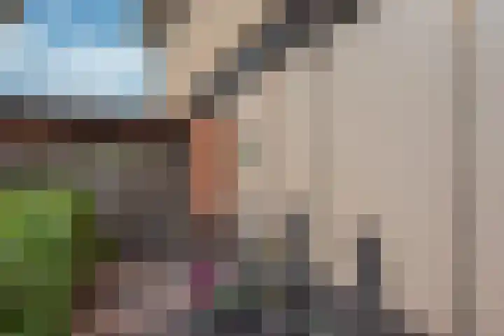Falkland 23 Zoetermeer thumbnail 42