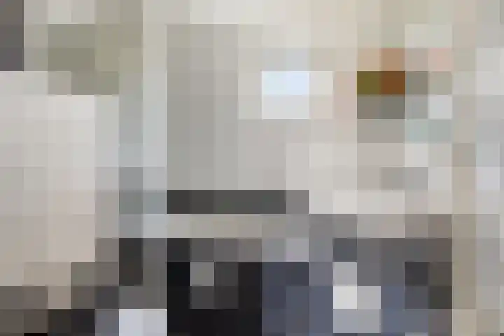Falklandstroom 1 Huizen thumbnail 17