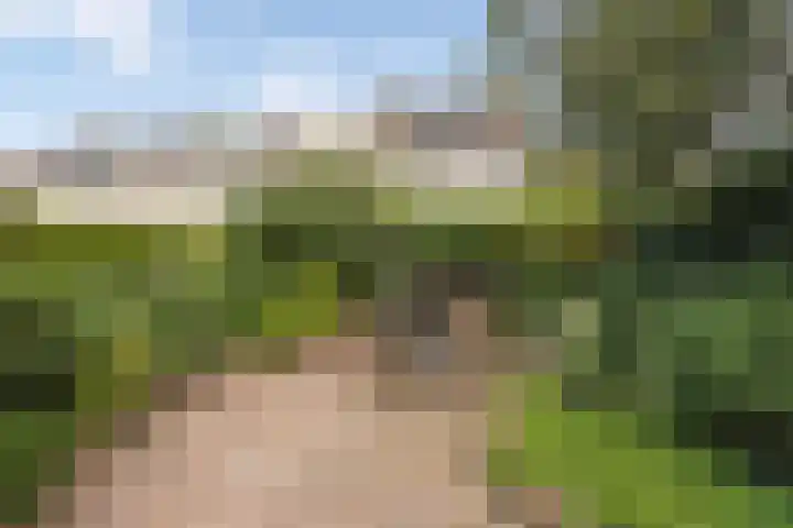 Falklandstroom 1 Huizen thumbnail 20